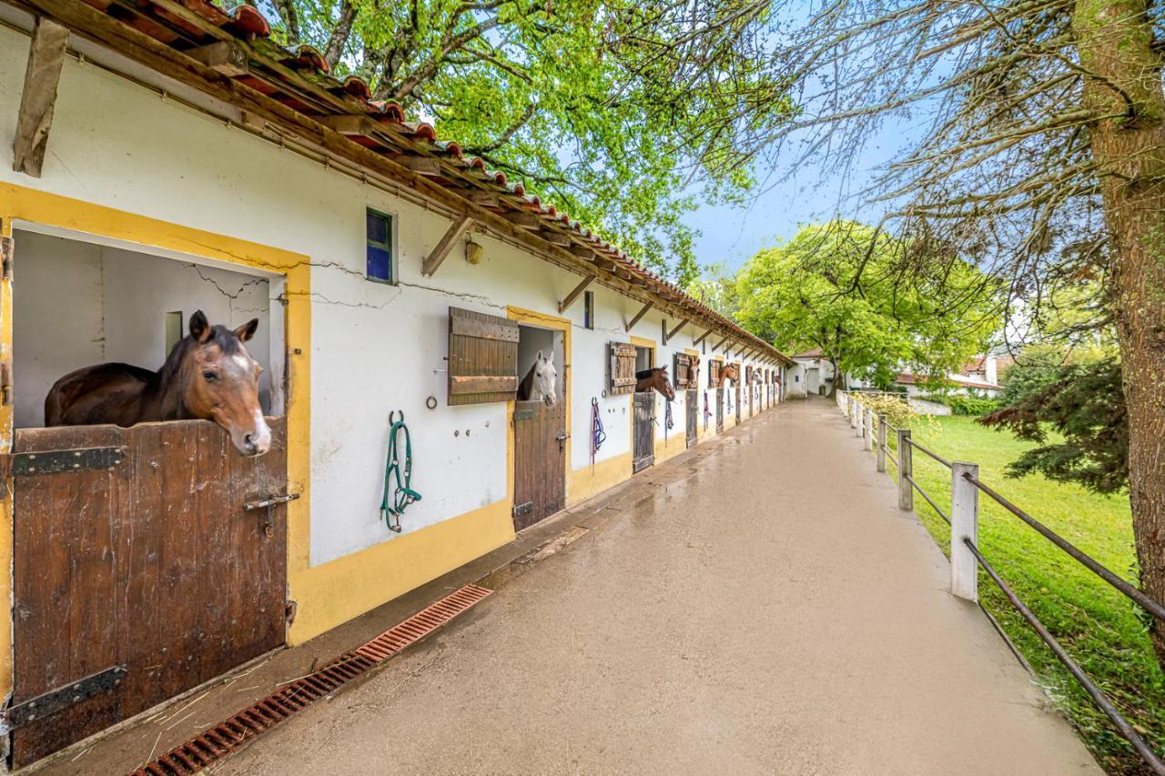 Вилла Quinta Do Boicao Лиссабон Экстерьер фото