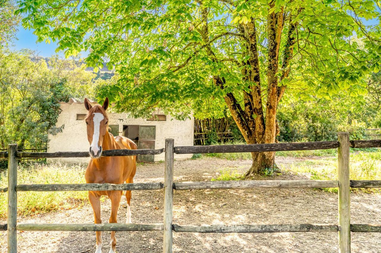 Вилла Quinta Do Boicao Лиссабон Экстерьер фото